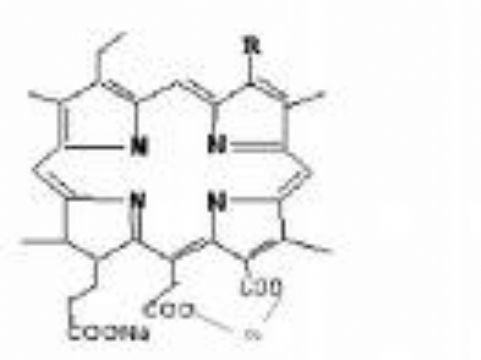 Odium Copper Chlorophyllin	